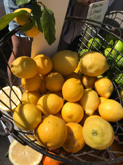 Basket of Meyer lemons at farmers market