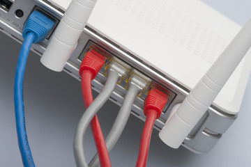Network cables connected to the router. Network Communications