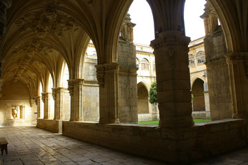 Claustro de la Iglesia, Monasterio de San Zoilo en Carrión de los Condes, Palencia