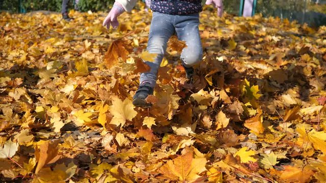 A little girl runs and falls into a pile of yellow leaves, joy, happiness, a warm autumn day.