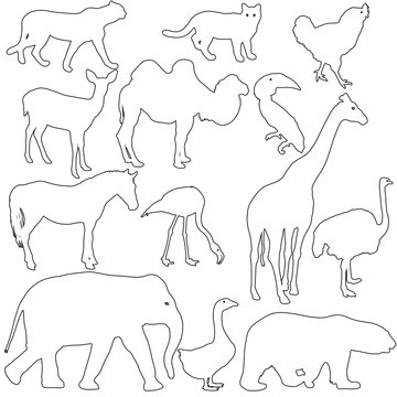 Silhouette elephant tiger bear giraffe flamingo pelican goose on a white background