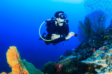 SCUBA diver swimming over a tropical coral reef