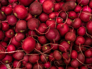 Closeup of ripe Radishes at the market. Background