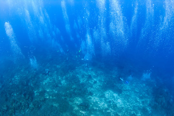 Bubbles from SCUBA divers on a heaily overcrowded dive site in Thailand