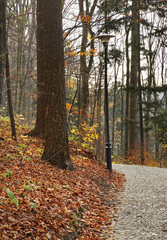 Park in Krynica-Zdroj. Lesser Poland Voivodeship. Poland