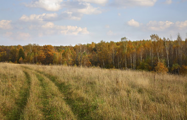 Fototapeta premium Landscape near Myshenki village. Tula oblast. Russia
