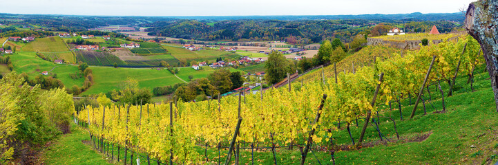 Wide panorama of Vineyards surrounding castle Riegersburg, Styria, Austria