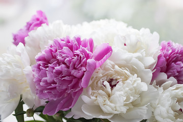 A bouquet of flowers close-up. White and pink peonies.