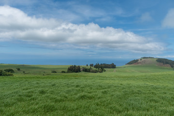 Fototapeta na wymiar Panoramic view of the Kohala Coast on the Big Island of Hawaii taken from higher elevation