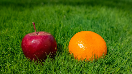 apple and mandarin on green grass