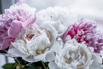 Bouquet of flowers close-up. White and pink peonies.