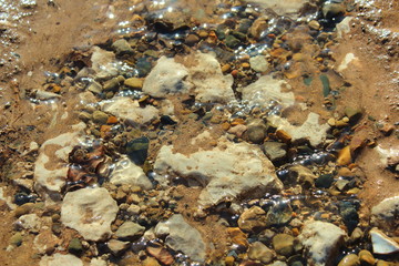 Transparent spring trickle. Close-up. Background.