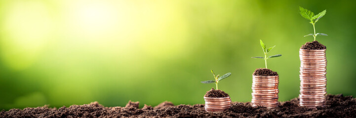 Growing Money - Plant On Coins - Finance And Investment Concept