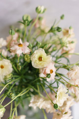 beautiful buttercups Bush flowers in a vase on a table . Bouquet of light pink flower. Decoration of home. Wallpaper and background. Vertical photo