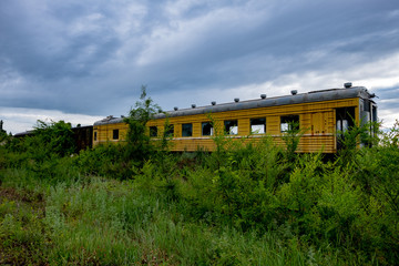 Abandoned train. Forgotten overgrown railway. Old rusty railway carriage