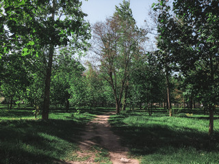 Path in the Park