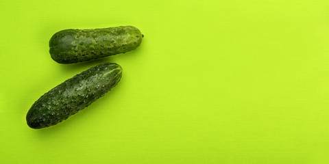 Cucumber on green background, top view.