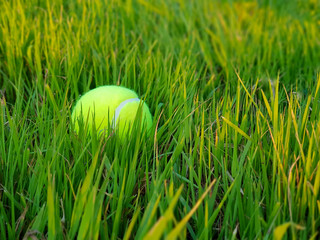 Tennis ball on grass