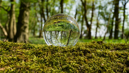 Photo Sphere Crystal Ball Magnifying and Reflecting woodland countryside scene