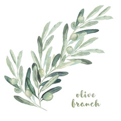 Watercolor floral illustration with olive branches and leaves