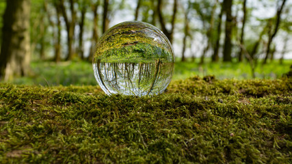 Photo Sphere Crystal Ball Magnifying and Reflecting woodland countryside scene