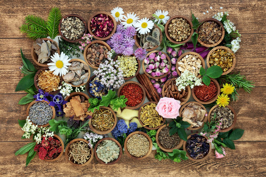 Herbal medicine with herb, spices and flowers used in chinese and natural alternative remedies with fresh herbs and flowers on rustic background. Top view.