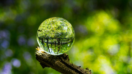 Photo Sphere Crystal Ball Magnifying and Reflecting woodland countryside scene