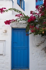 A small wooden blue door next pink flowers in the narrow streets of Amorgos