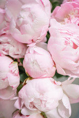 Lovely flowers in glass vase. Beautiful bouquet of pink peonies . Floral composition, scene, daylight. Wallpaper