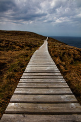 Obraz premium Path