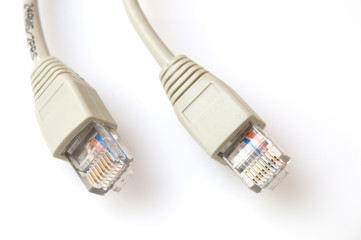 Network cables on white background