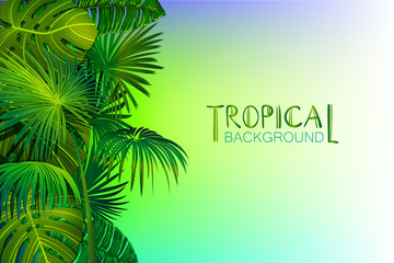 tropical vtctor background