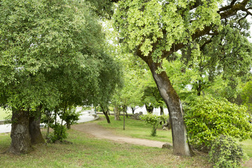 Montemor-o-Velho Castle, in Portugal
