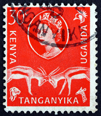 Postage stamp K., U. and T. 1960 Thompson's Gazelles