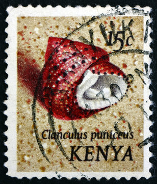 Postage stamp Kenya 1971 Strawberry Top Shell, Sea Snail