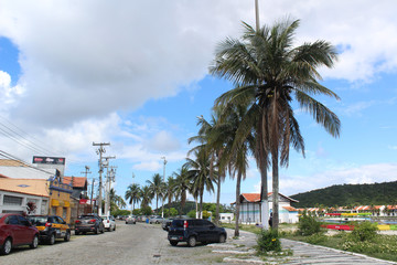 coqueiro cabofriense