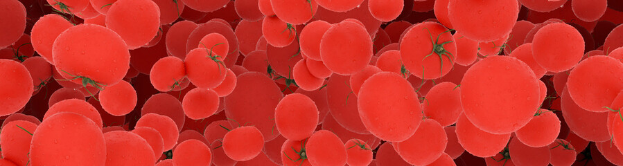 помидоры панорама