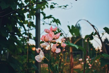 Processed with VSCO with c7 preset