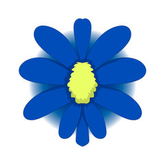 simple drawing of a blue flower. Vector graphics. Hand drawing