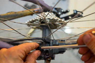 Fototapeta premium Bicycle Maintenance- Repairing the Disc Brakes on a Mountain Bike