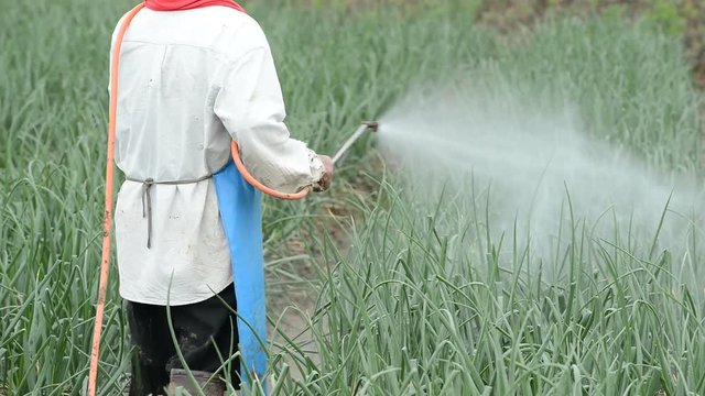 farmer spraying pesticide