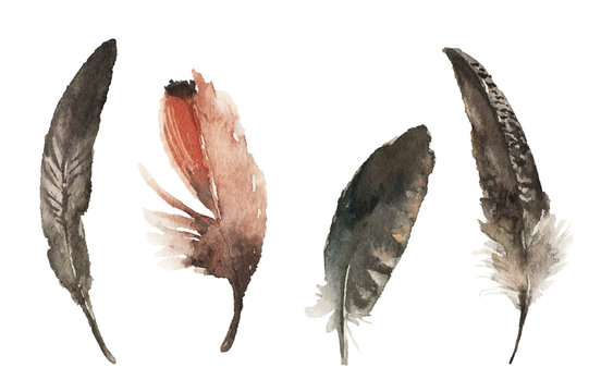 Watercolor hand drawn feathers illustration - boho style elements