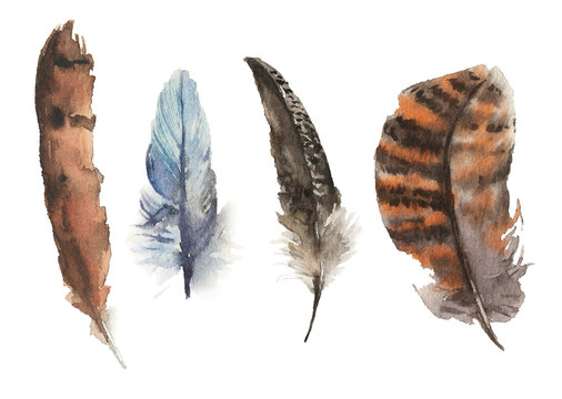 Watercolor hand drawn feathers illustration - boho style elements
