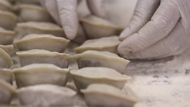 Meat factory process. Woman worker in white latex gloves packing dumpling on metal baking tray for placement in refrigerator. Close up