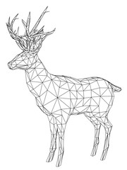 Deer polygonal lines illustration. Abstract vector deer on the white background