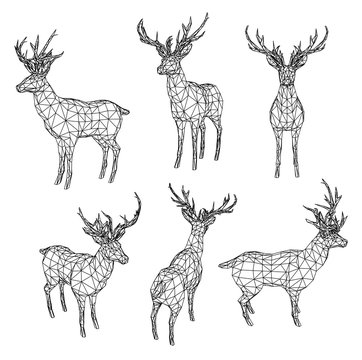 Deer polygonal lines illustration. Abstract vector deer on the white background