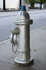 Fire Hydrant