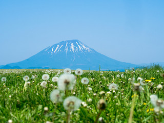 羊蹄山