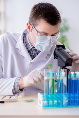 Male biochemist working in the lab on plants
