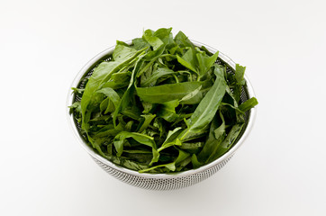 空心菜（クウシンサイ）の葉